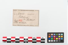 Etiketten zu Bronzekugelkopfnadel (NHMW-PRAE-024121)